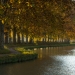 Platanes bordant le Canal du Midi, Occitanie. Patrimoine mondial de l'Unesco
