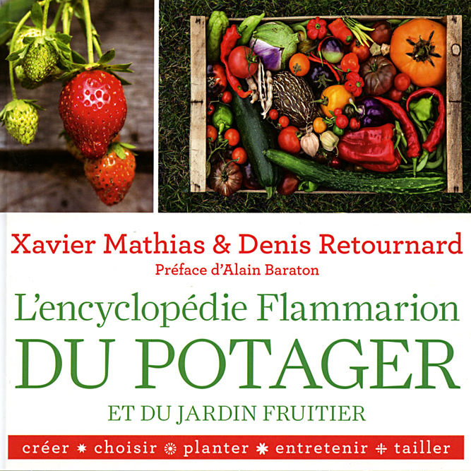 Encyclopédie du potager et du jardin fruitier - Flammarion- 2016